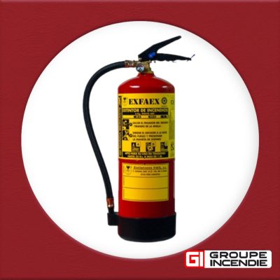 Extincteur poudre D